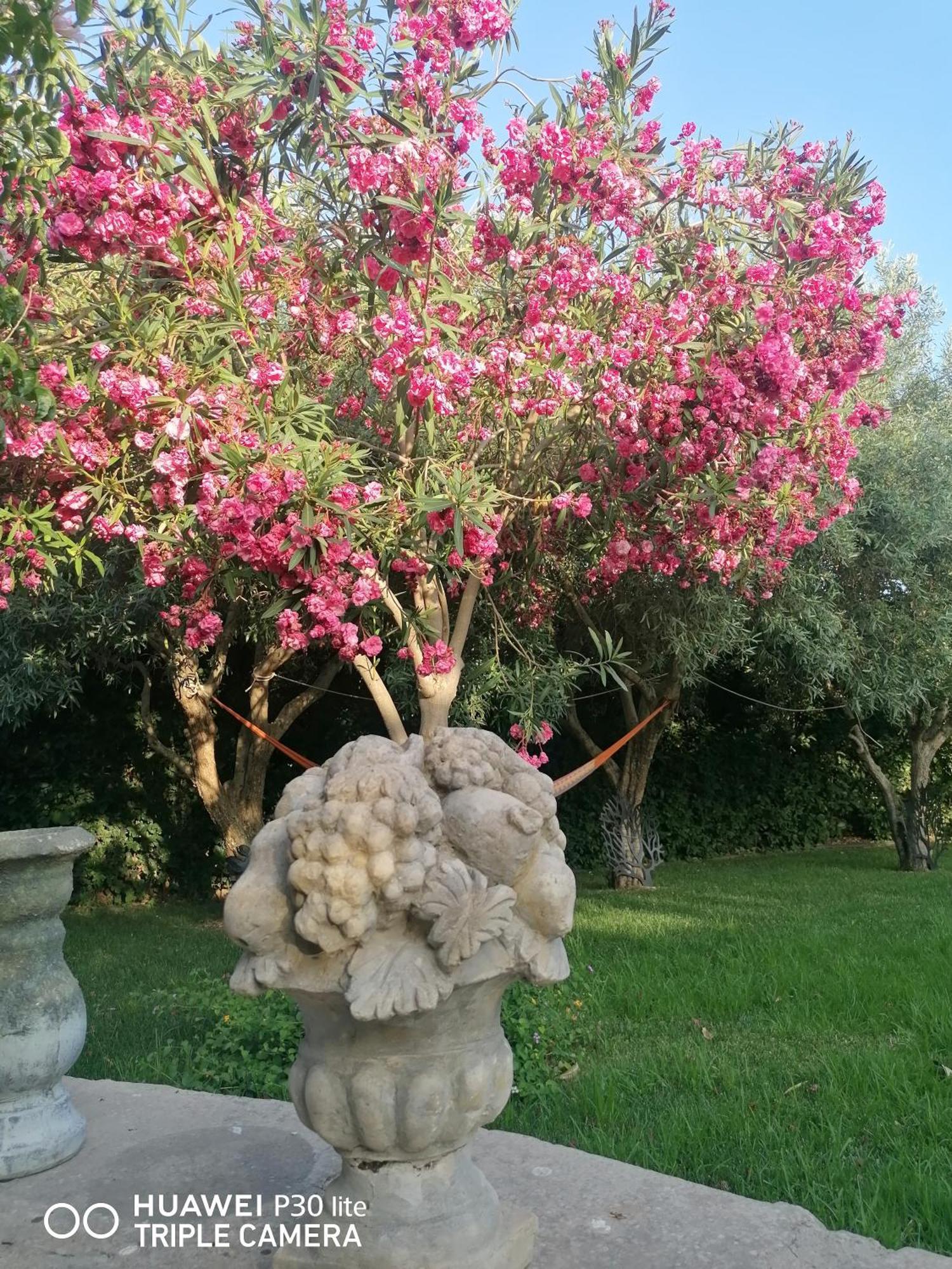Oasi Di Campagna Hotell Modica Exteriör bild